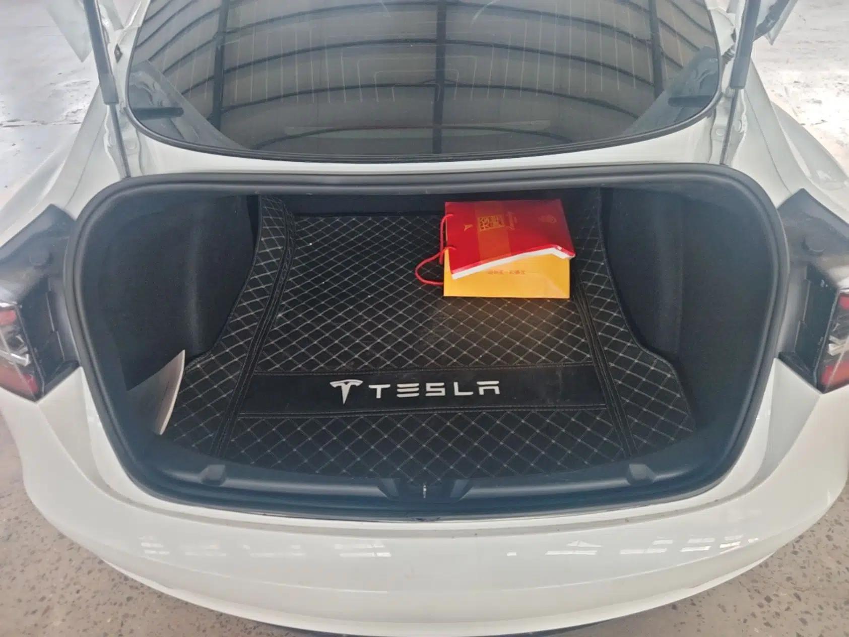 Tesla Model 3 2020 Standard Range Rear-Wheel Drive Upgraded Version — миниатюра 22