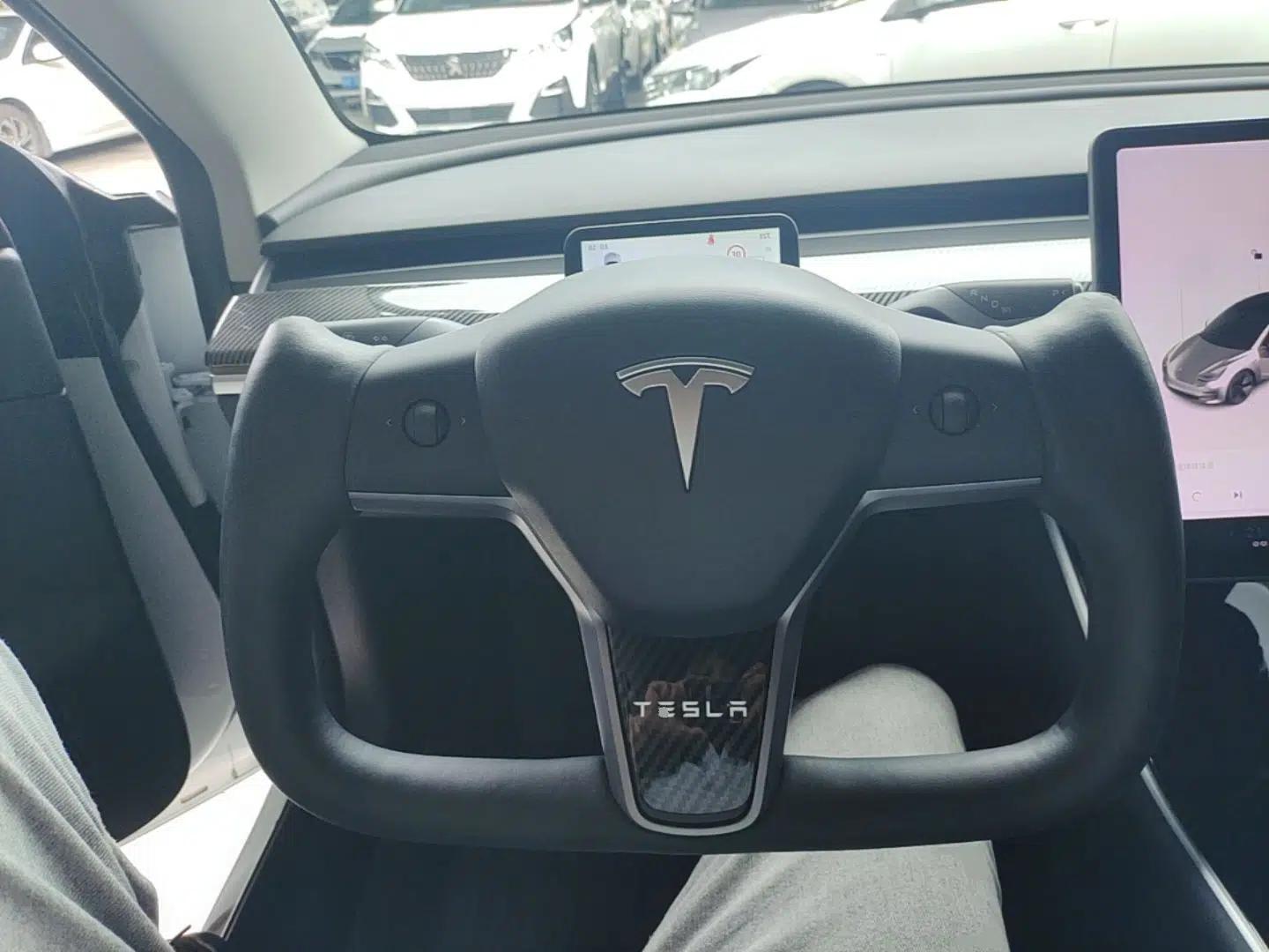 Tesla Model 3 2020 Revised Version Standard Range Rear-Wheel Drive – Upgraded Edition — миниатюра 18