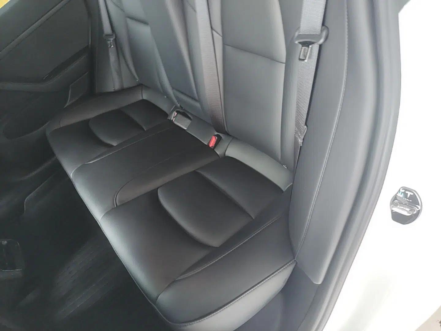 Tesla Model 3 2020 Revised Version Standard Range Rear-Wheel Drive – Upgraded Edition — миниатюра 25
