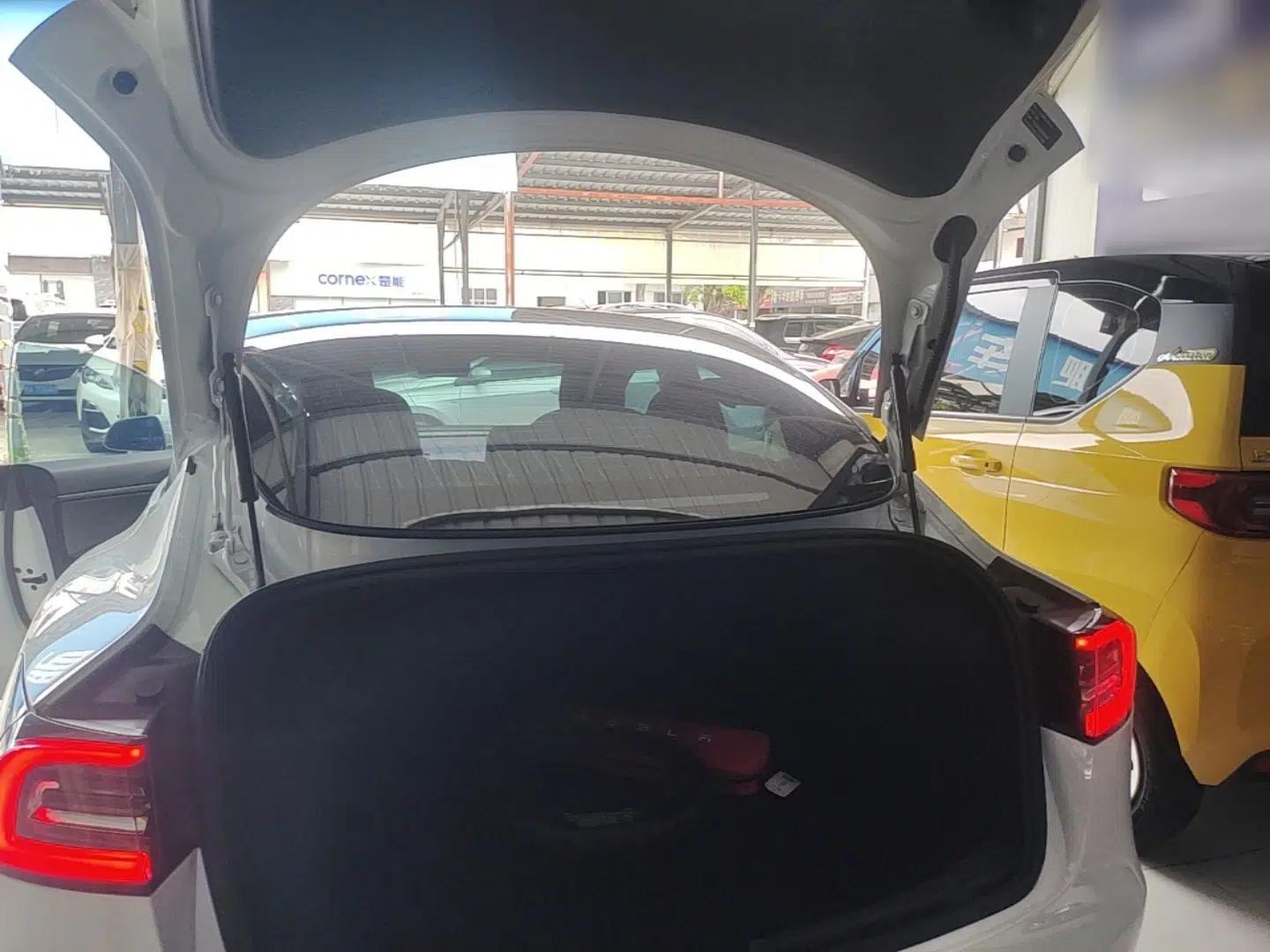 Tesla Model 3 2020 Revised Version Standard Range Rear-Wheel Drive – Upgraded Edition — миниатюра 27