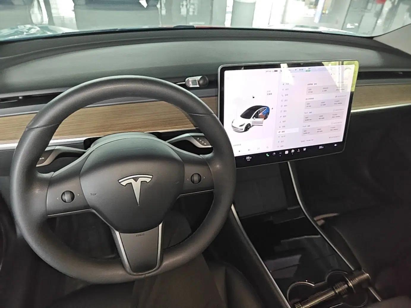 Tesla Model 3 2020 Revised Version Standard Range Rear-Wheel Drive – Upgraded Edition — миниатюра 17