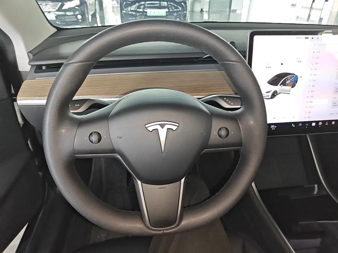 Tesla Model 3 2020 Revised Version Standard Range Rear-Wheel Drive – Upgraded Edition — миниатюра 18