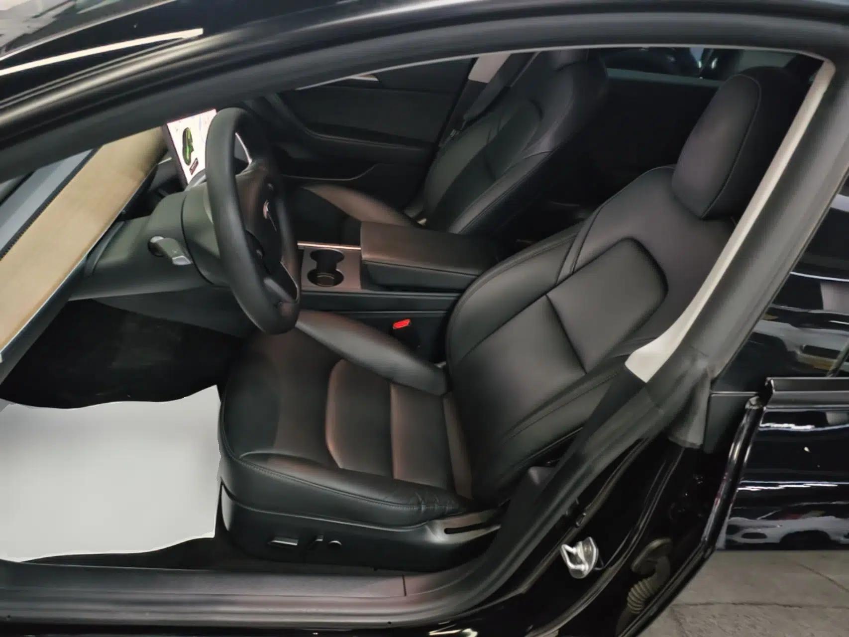 Tesla Model 3 2021 Standard Range Rear-Drive Upgraded Version — миниатюра 17