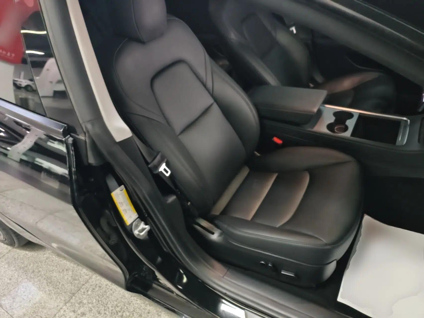 Tesla Model 3 2021 Standard Range Rear-Drive Upgraded Version — миниатюра 19