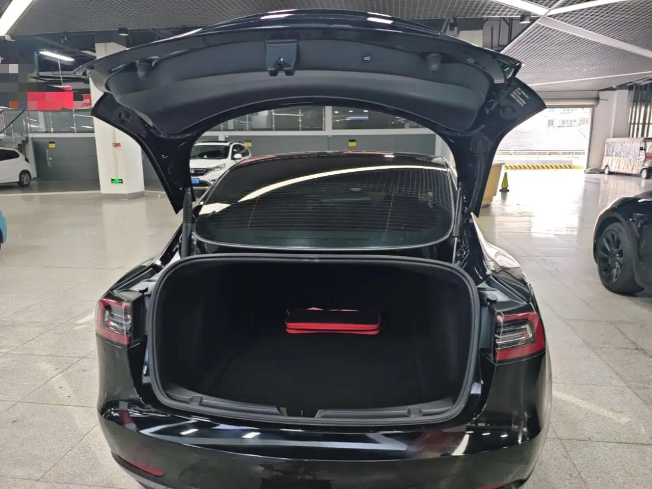 Tesla Model 3 2021 Standard Range Rear-Drive Upgraded Version — миниатюра 22