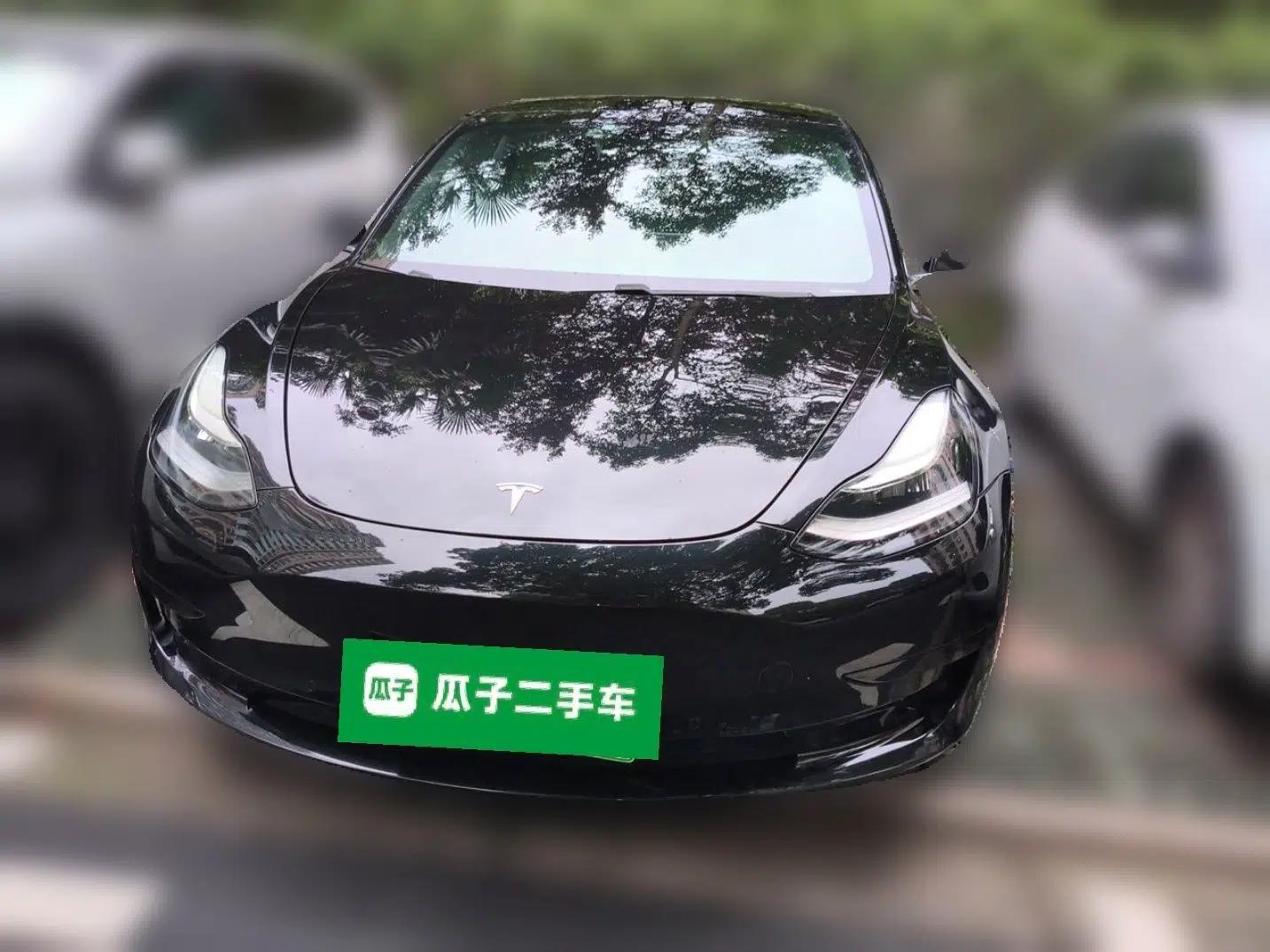 Tesla Model 3 2020 Standard Range Rear-Wheel Drive Upgraded Version — миниатюра 2