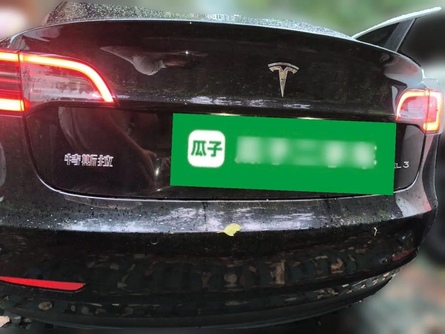 Tesla Model 3 2020 Standard Range Rear-Wheel Drive Upgraded Version — миниатюра 5