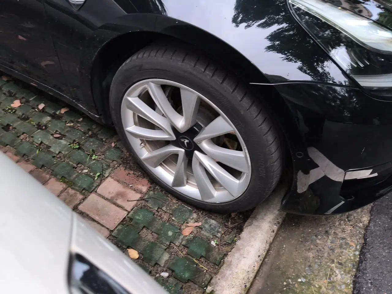 Tesla Model 3 2020 Standard Range Rear-Wheel Drive Upgraded Version — миниатюра 8