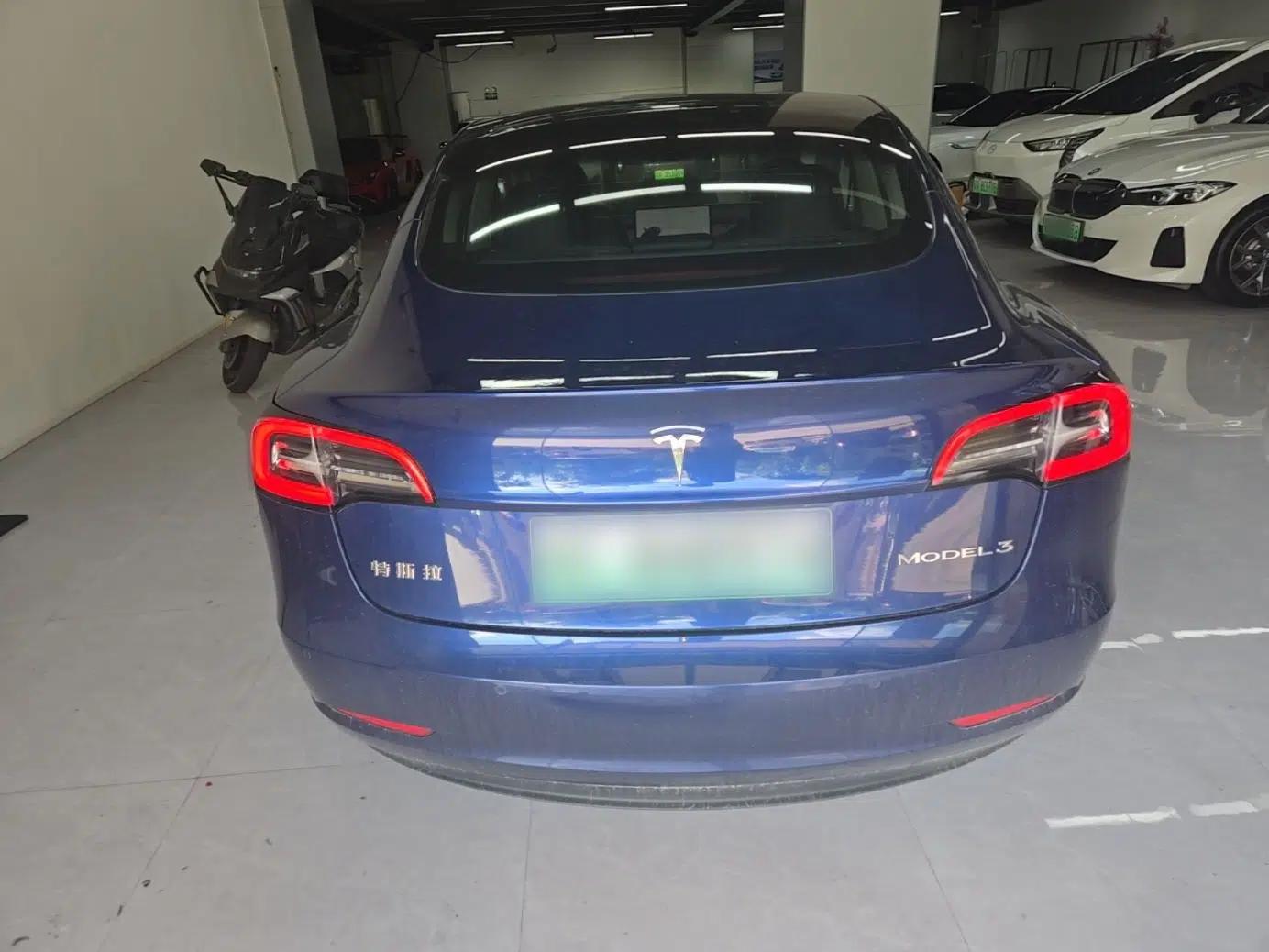 Tesla Model 3 2020 Revised Version Standard Range Rear-Wheel Drive – Upgraded Edition — миниатюра 5