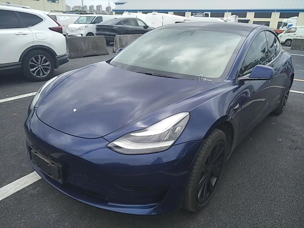 Tesla Model 3 2019 Standard Range Rear-Drive Upgraded Version — миниатюра 1