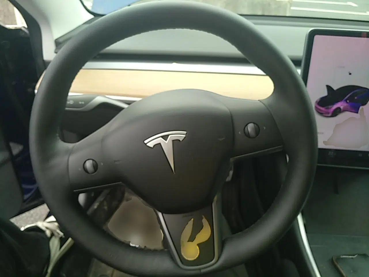 Tesla Model 3 2019 Standard Range Rear-Drive Upgraded Version — миниатюра 13