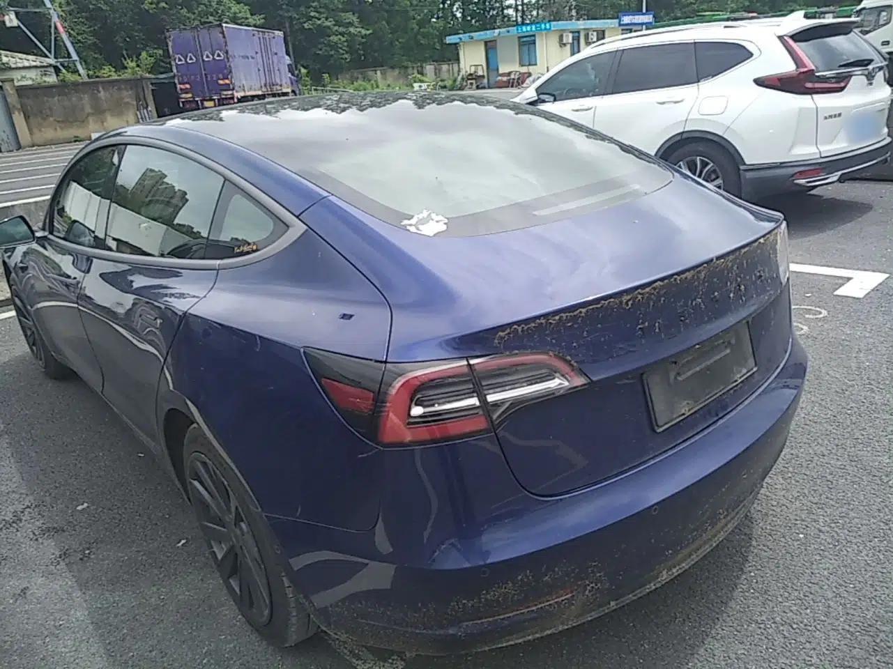 Tesla Model 3 2019 Standard Range Rear-Drive Upgraded Version — миниатюра 4