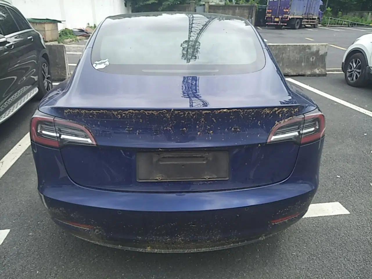 Tesla Model 3 2019 Standard Range Rear-Drive Upgraded Version — миниатюра 5