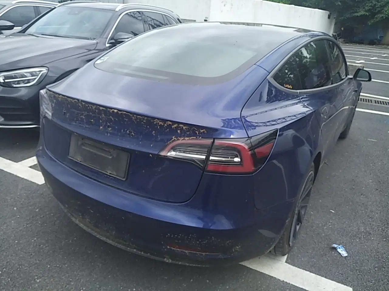 Tesla Model 3 2019 Standard Range Rear-Drive Upgraded Version — миниатюра 6