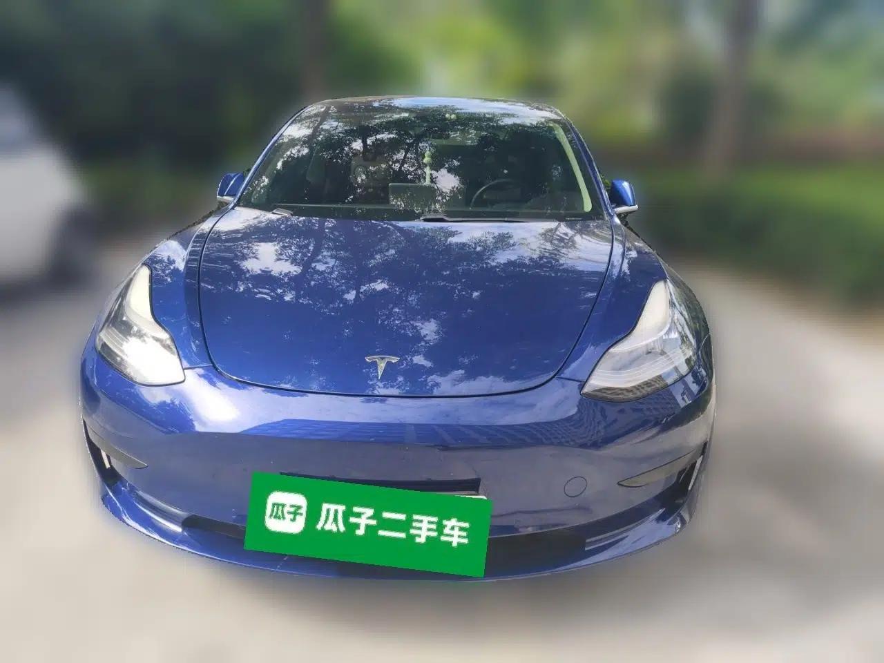 Tesla Model 3 2019 Standard Range Rear-Drive Upgraded Version — миниатюра 2