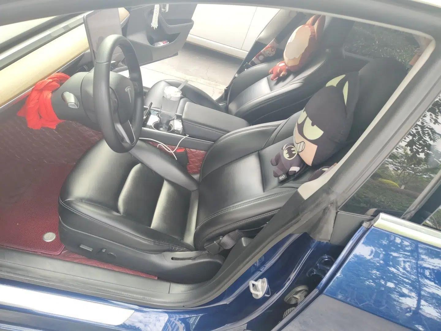 Tesla Model 3 2019 Standard Range Rear-Drive Upgraded Version — миниатюра 15