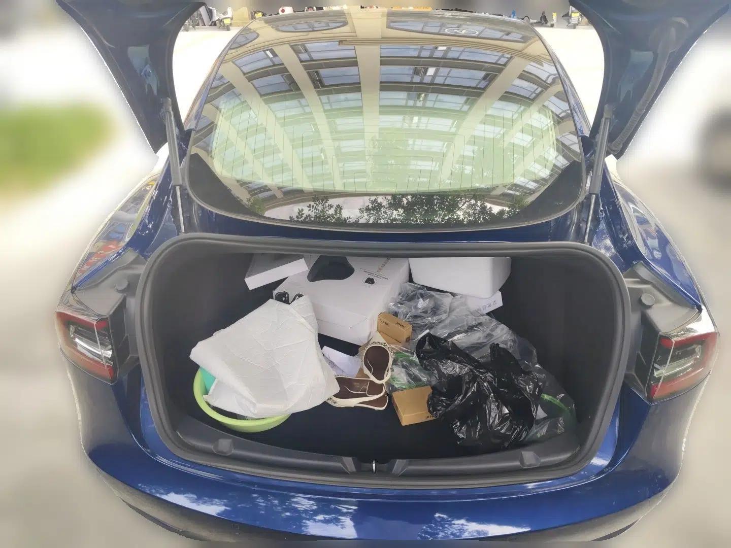 Tesla Model 3 2019 Standard Range Rear-Drive Upgraded Version — миниатюра 19