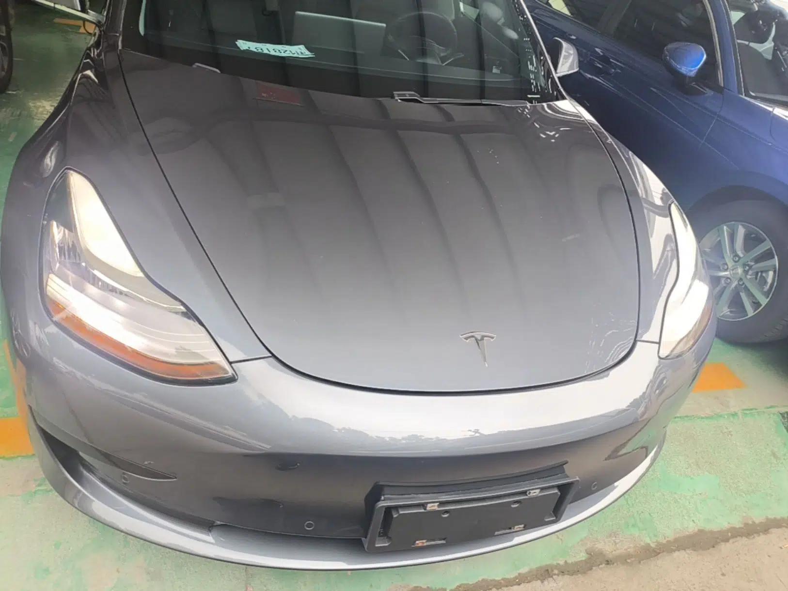 Tesla Model 3 2019 Standard Range Rear-Drive Upgraded Version — миниатюра 2