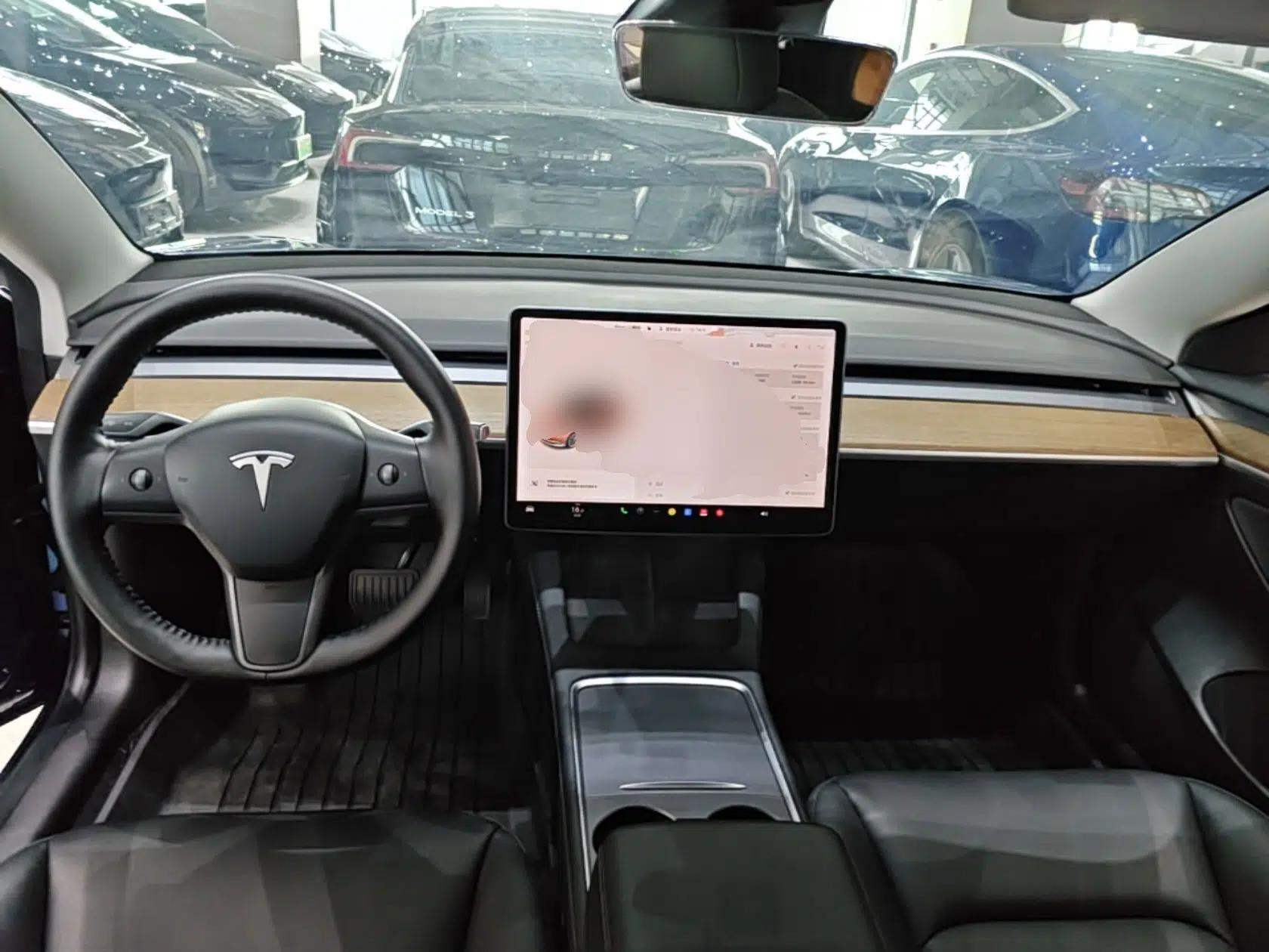 Tesla Model 3 2021 Standard Range Rear-Drive Upgraded Version — миниатюра 12