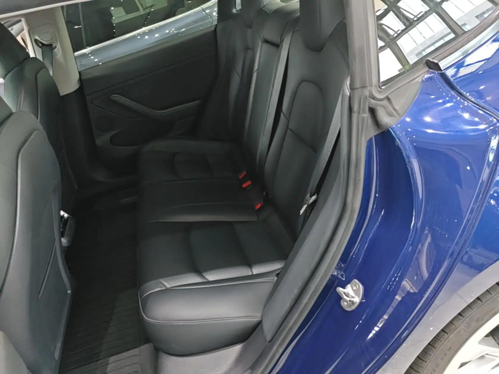 Tesla Model 3 2021 Standard Range Rear-Drive Upgraded Version — миниатюра 20