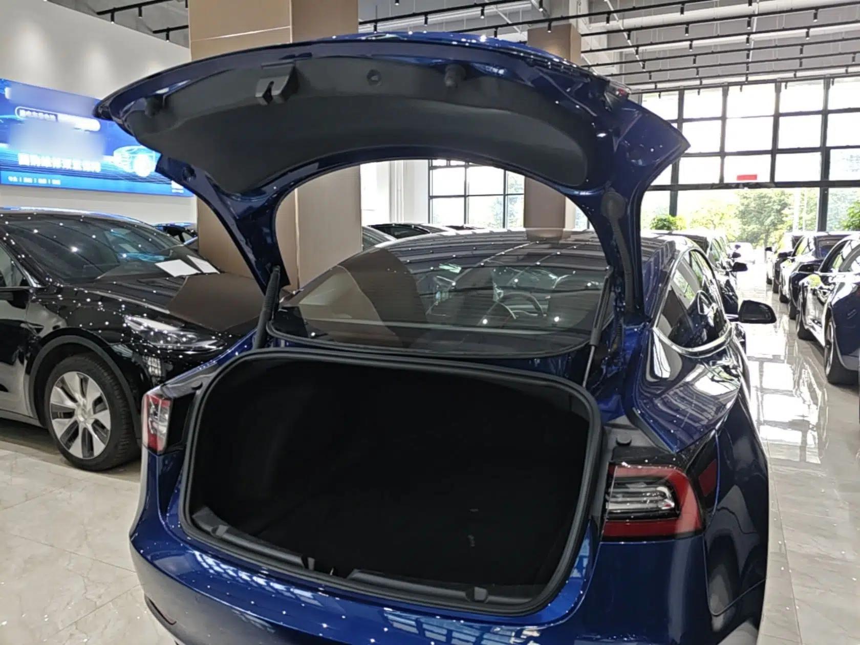 Tesla Model 3 2021 Standard Range Rear-Drive Upgraded Version — миниатюра 22