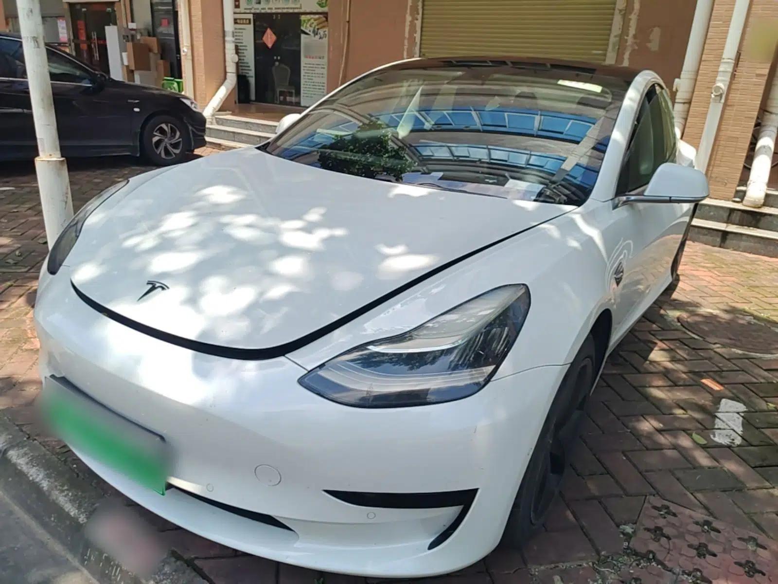 Tesla Model 3 2019 Standard Range Rear-Wheel Drive Upgraded Version (52 kWh) — миниатюра 1
