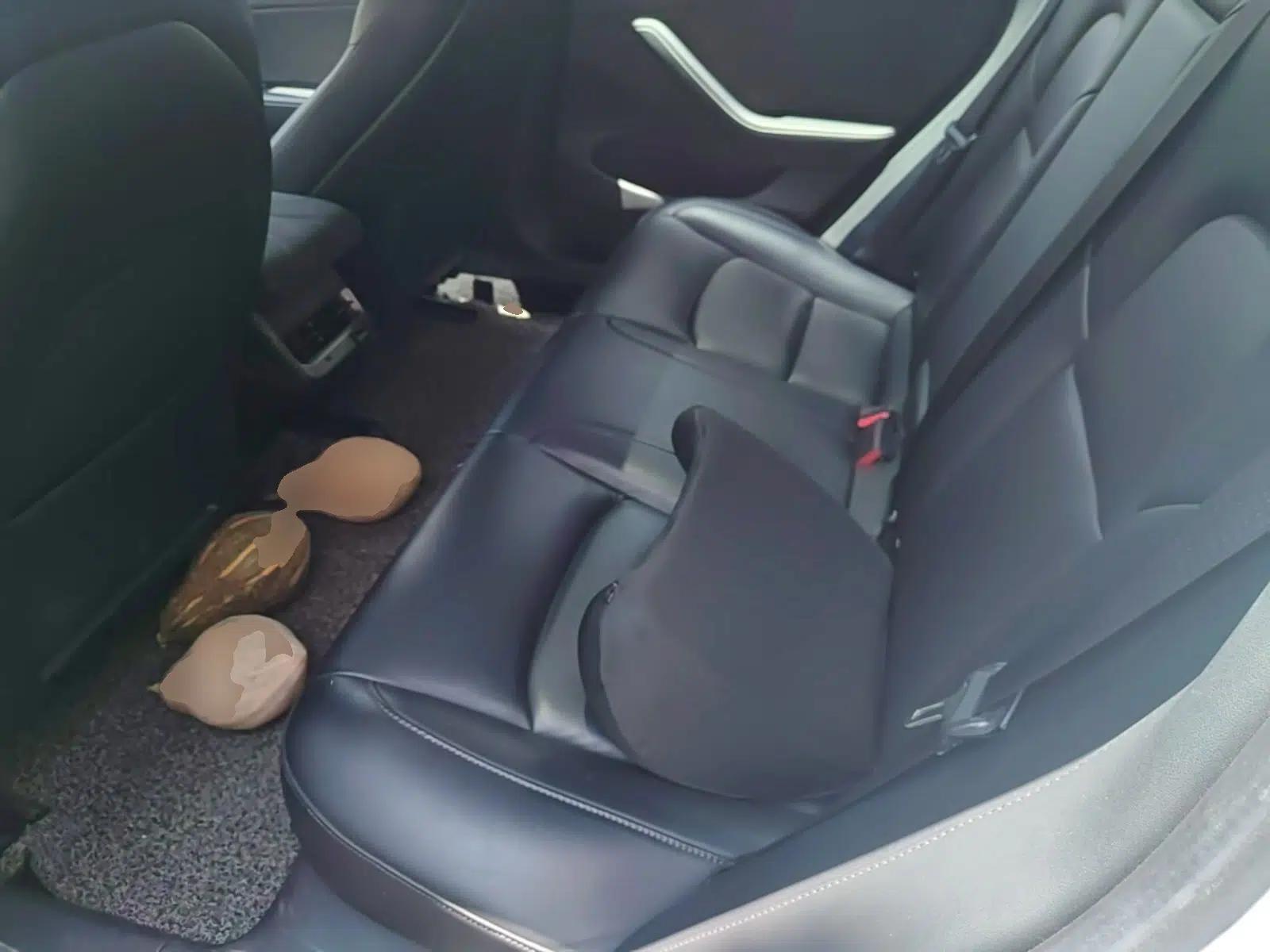 Tesla Model 3 2019 Standard Range Rear-Wheel Drive Upgraded Version (52 kWh) — миниатюра 25
