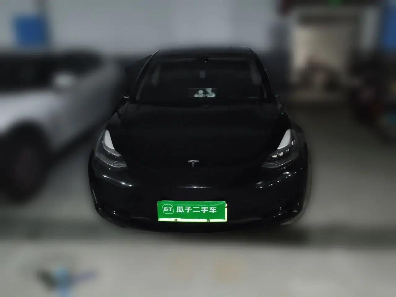 Tesla Model 3 2020 Revised Version Standard Range Rear-Wheel Drive – Upgraded Edition — миниатюра 2