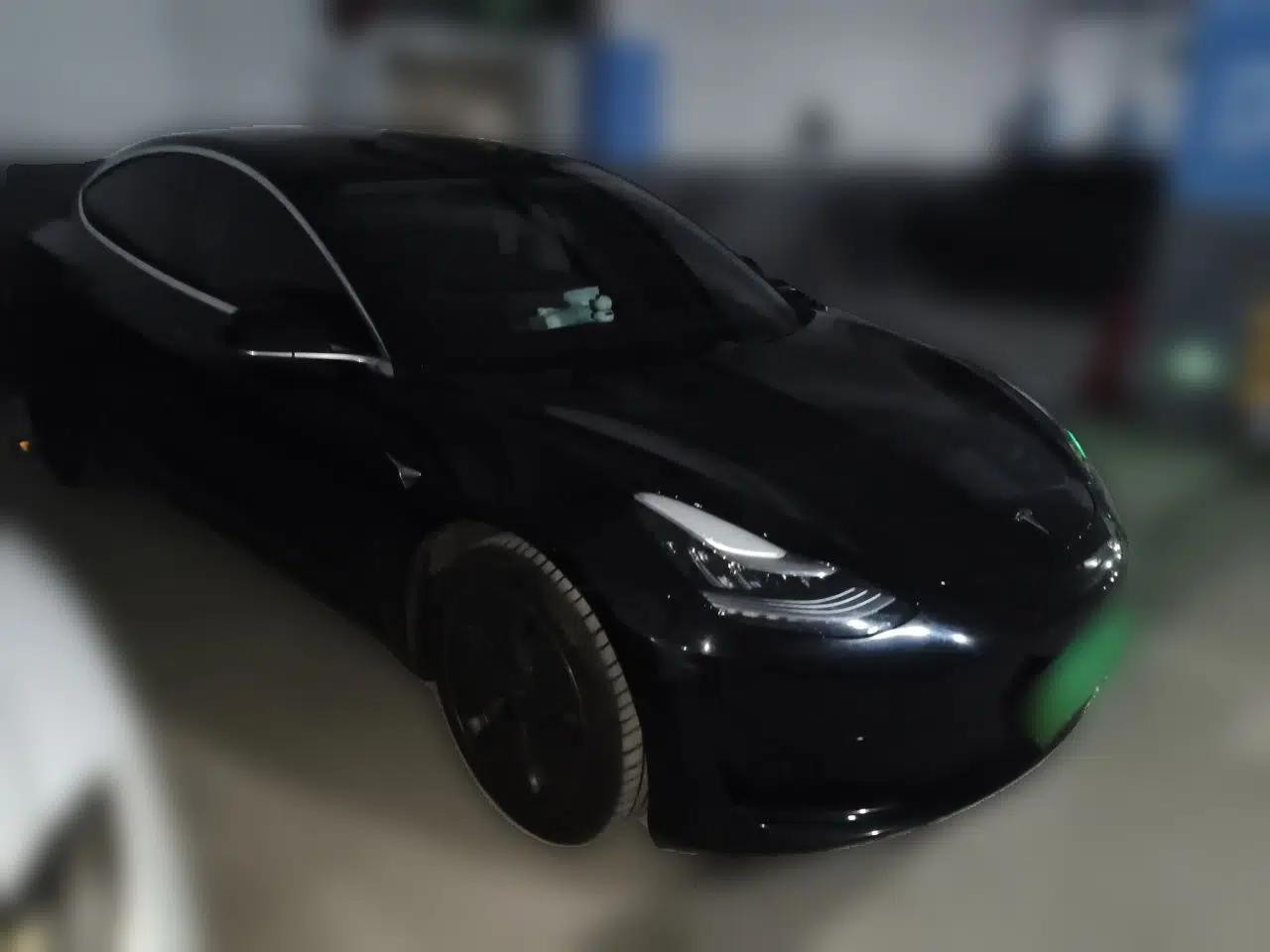 Tesla Model 3 2020 Revised Version Standard Range Rear-Wheel Drive – Upgraded Edition — миниатюра 3