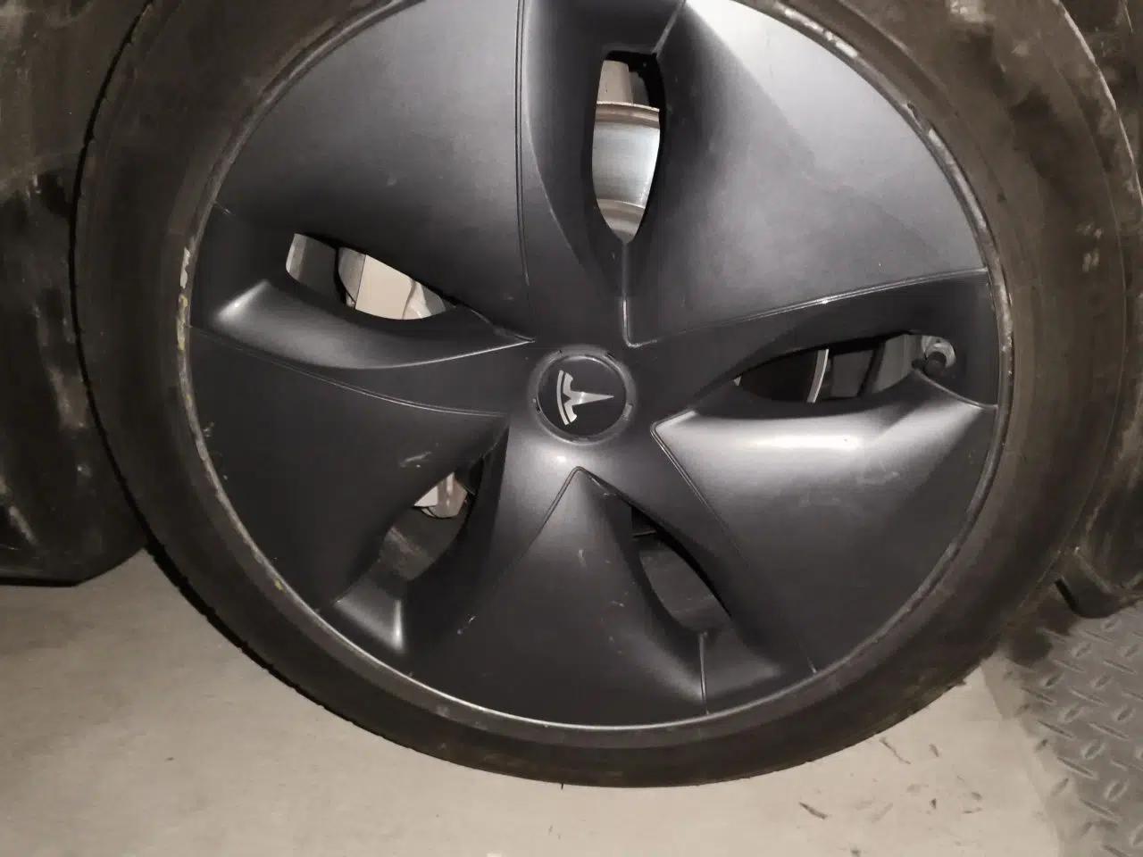 Tesla Model 3 2020 Revised Version Standard Range Rear-Wheel Drive – Upgraded Edition — миниатюра 8