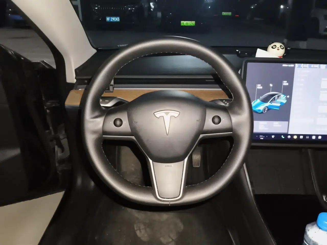 Tesla Model 3 2020 Revised Version Standard Range Rear-Wheel Drive – Upgraded Edition — миниатюра 10