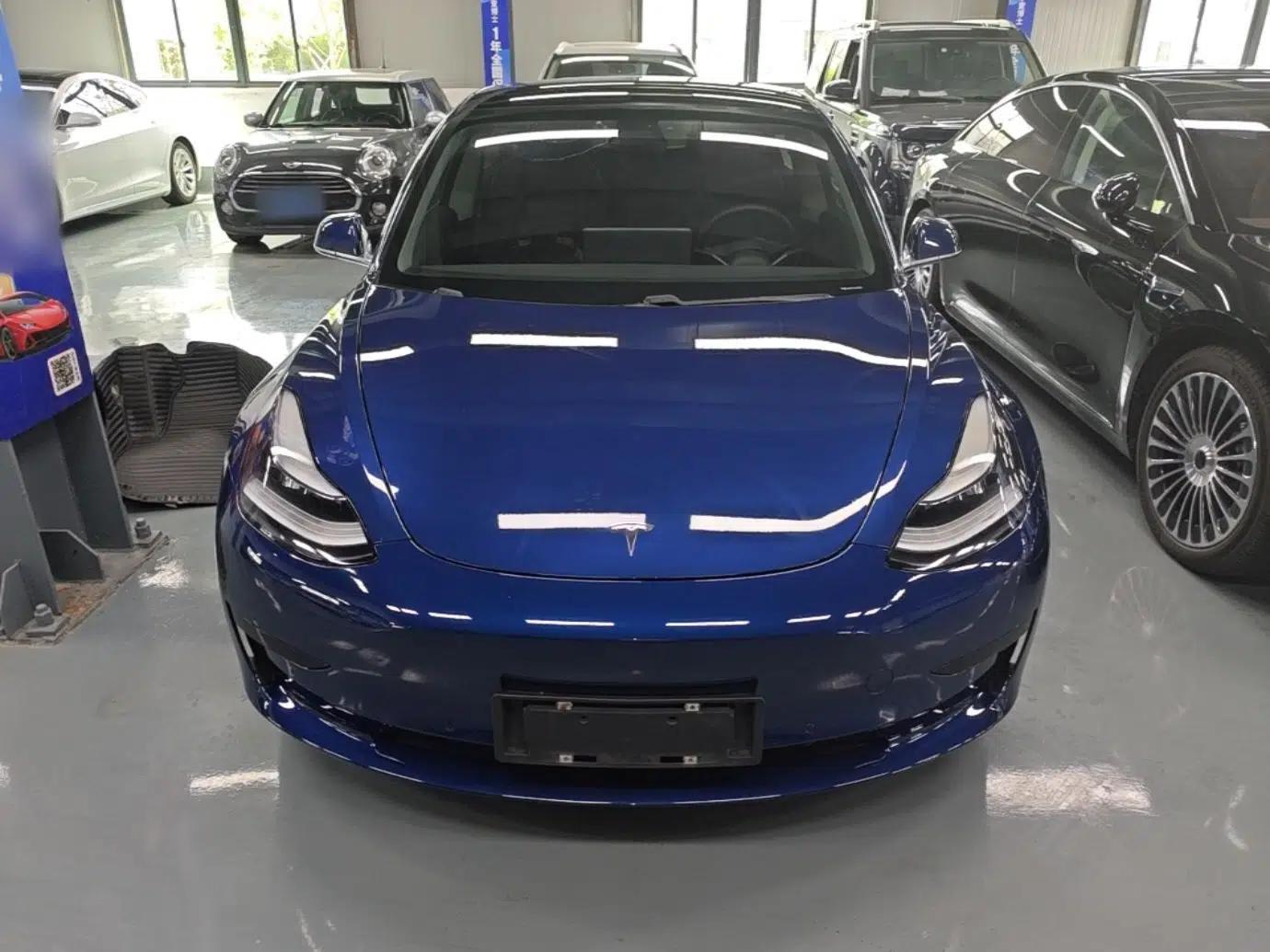 Tesla Model 3 2020 Revised Version Standard Range Rear-Wheel Drive – Upgraded Edition — миниатюра 2