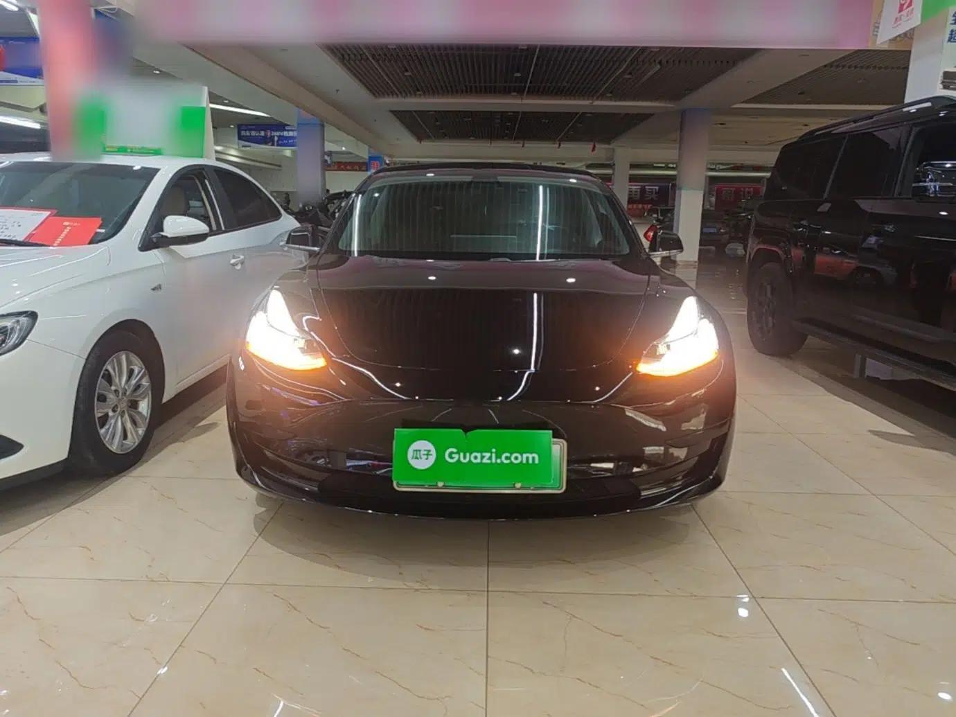 Tesla Model 3 2019 Standard Range Rear-Drive Upgraded Version — миниатюра 2