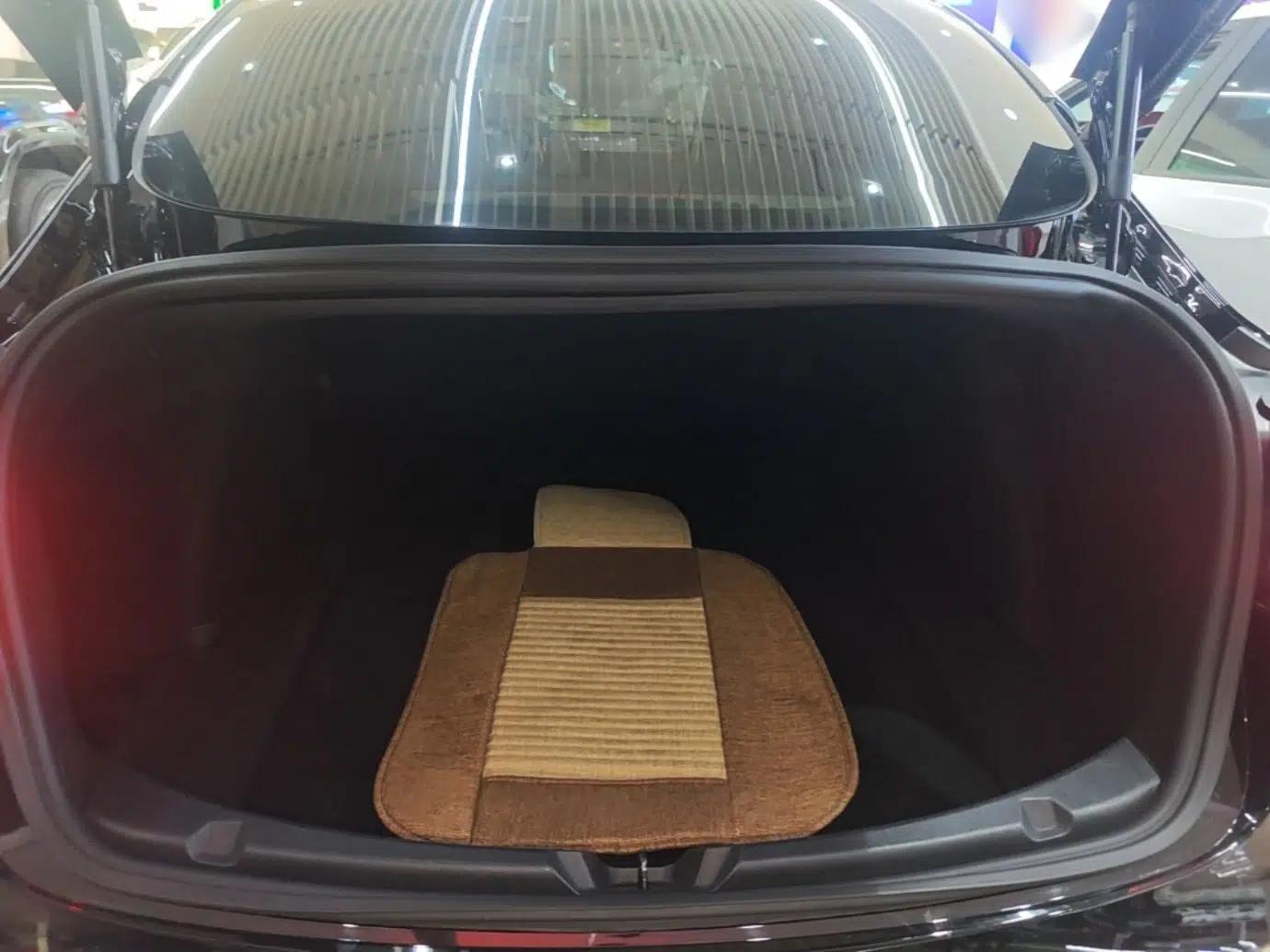 Tesla Model 3 2019 Standard Range Rear-Drive Upgraded Version — миниатюра 22