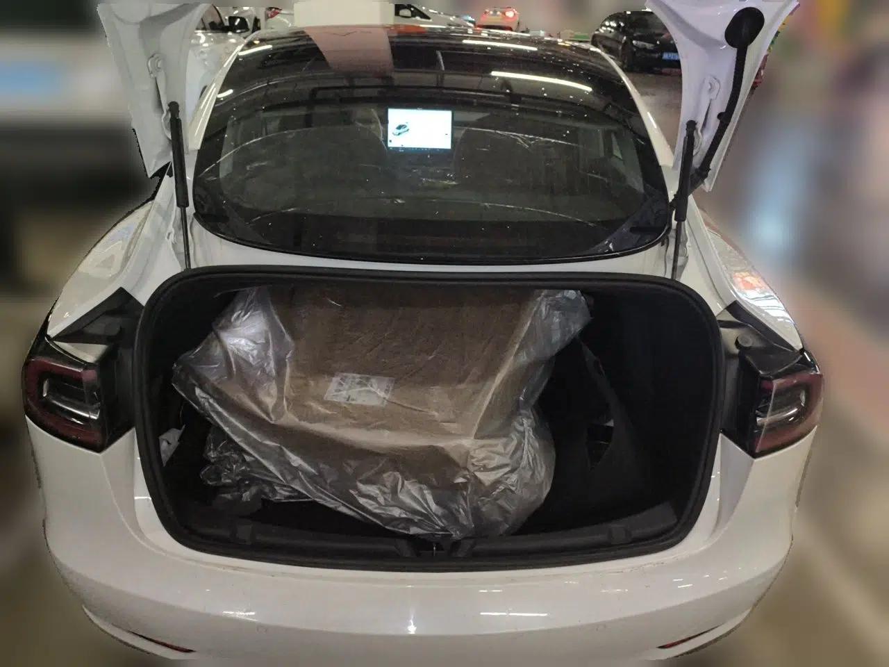 Tesla Model 3 2020 Standard Range Rear-Wheel Drive Upgraded Version — миниатюра 19