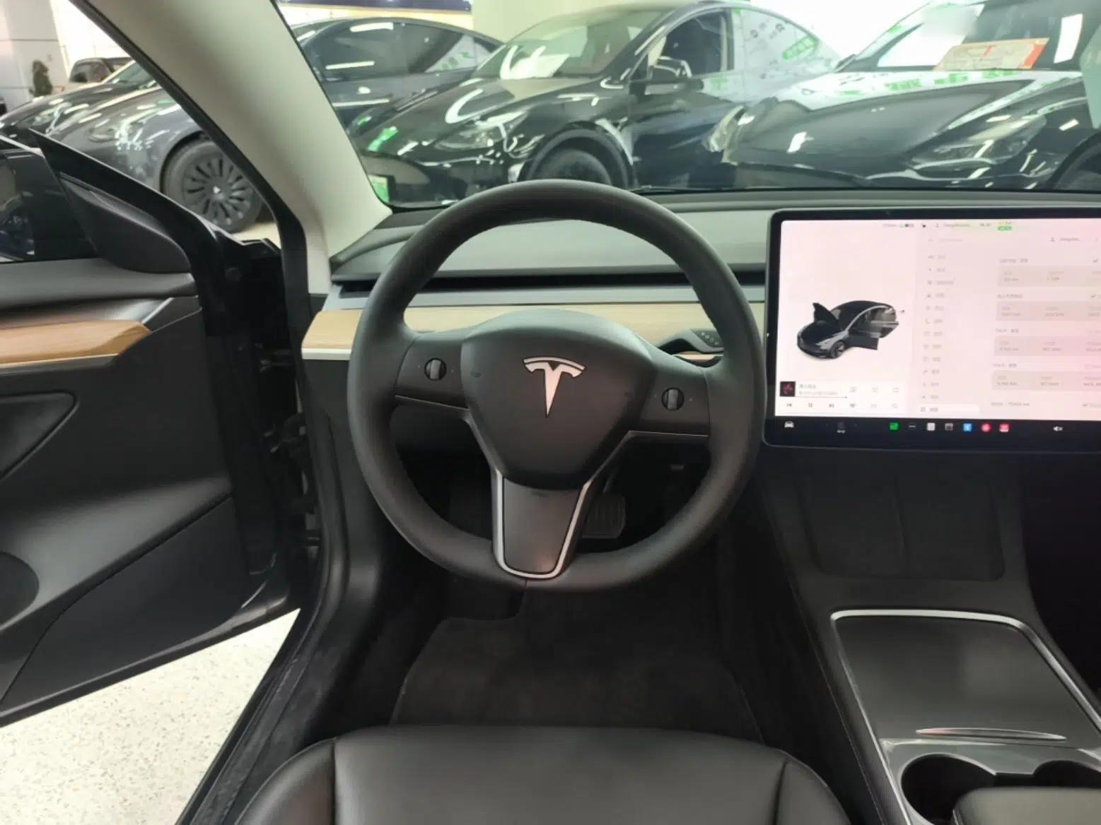 Tesla Model 3 2021 Revised Version Standard Range Rear-Wheel Drive Upgraded Edition 3D1 — миниатюра 13