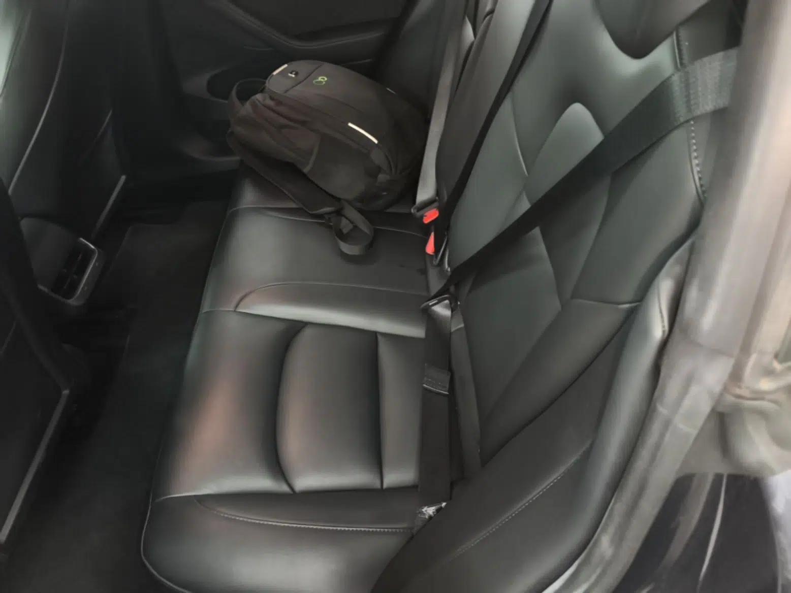 Tesla Model 3 2021 Revised Version Standard Range Rear-Wheel Drive Upgraded Edition 3D1 — миниатюра 20