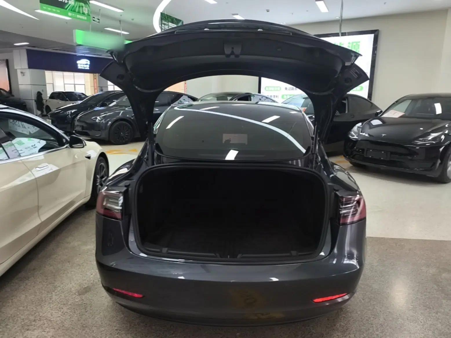 Tesla Model 3 2021 Revised Version Standard Range Rear-Wheel Drive Upgraded Edition 3D1 — миниатюра 22