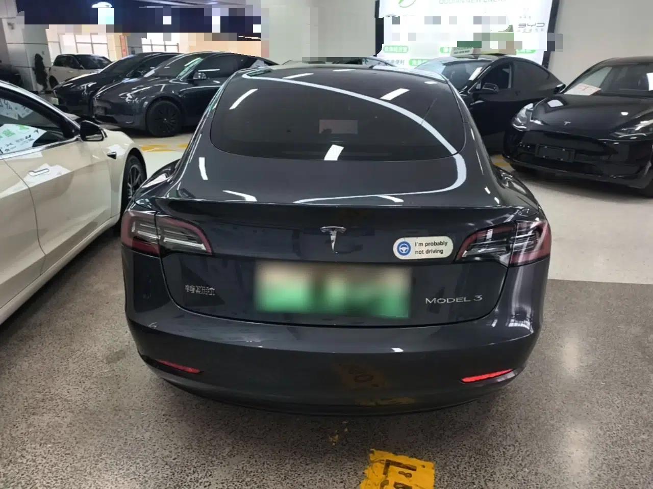 Tesla Model 3 2021 Revised Version Standard Range Rear-Wheel Drive Upgraded Edition 3D1 — миниатюра 5