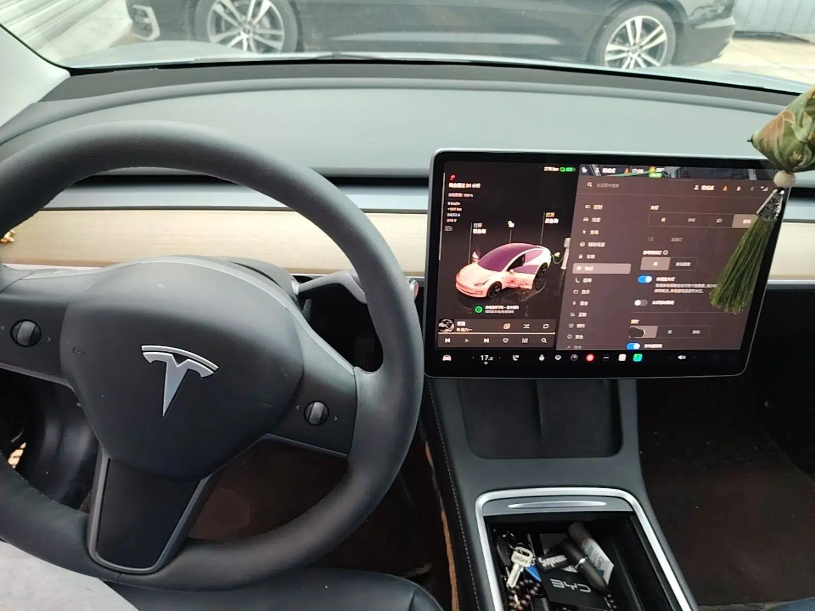 Tesla Model 3 2022 Rear-Wheel-Drive Version — миниатюра 17
