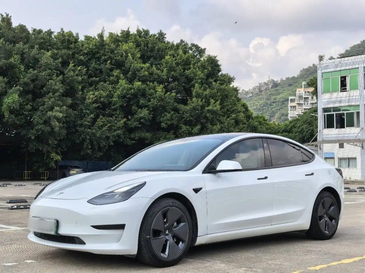 Tesla Model 3 2021 Revised Version Standard Range Rear-Wheel Drive Upgraded Edition 3D1 — миниатюра 1