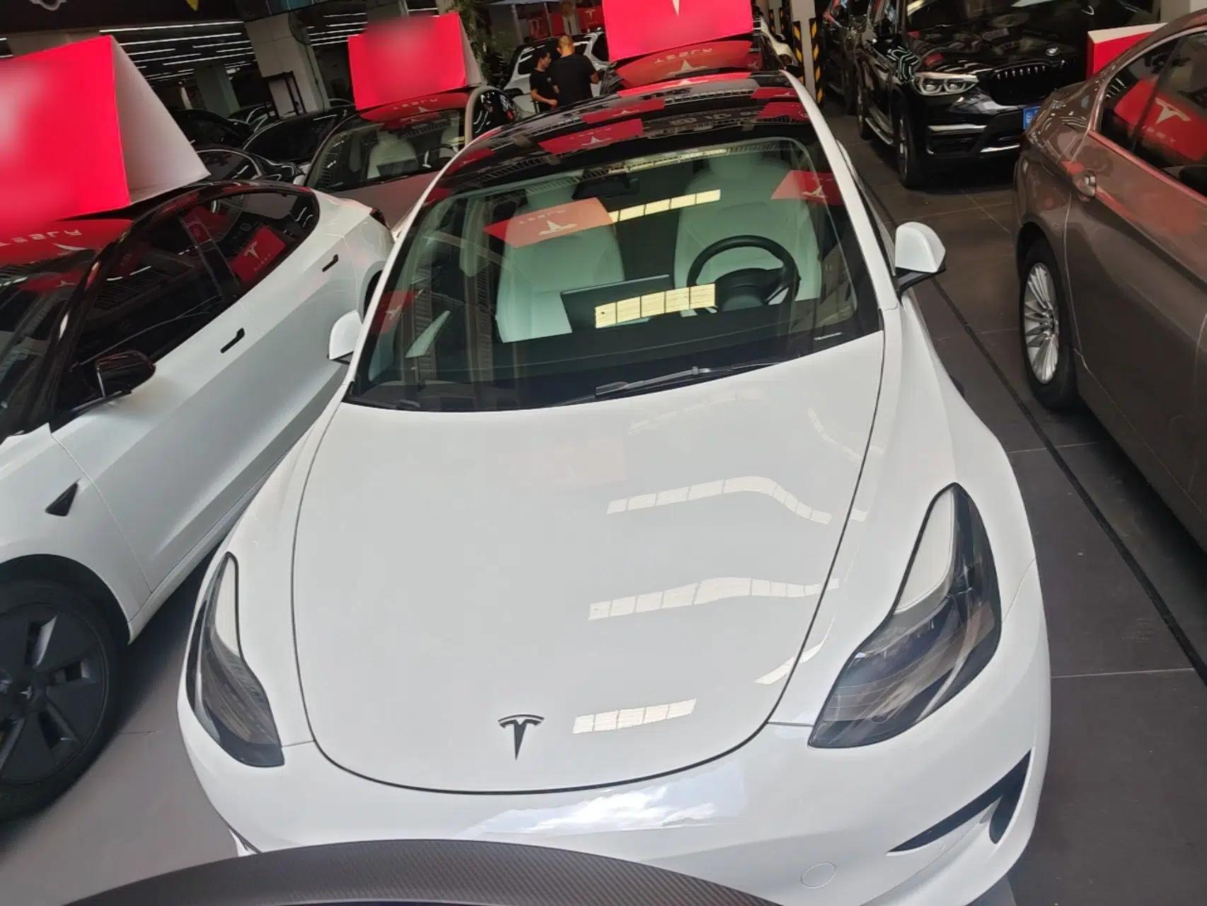 Tesla Model 3 2021 Revised Version Standard Range Rear-Wheel Drive Upgraded Edition 3D1 — миниатюра 2