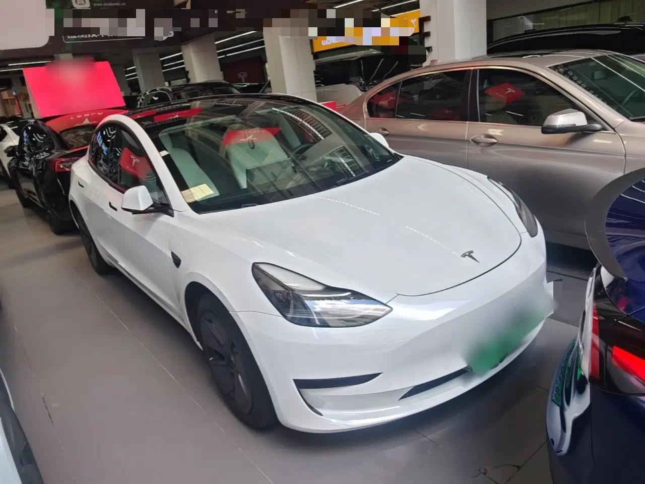 Tesla Model 3 2021 Revised Version Standard Range Rear-Wheel Drive Upgraded Edition 3D1 — миниатюра 3