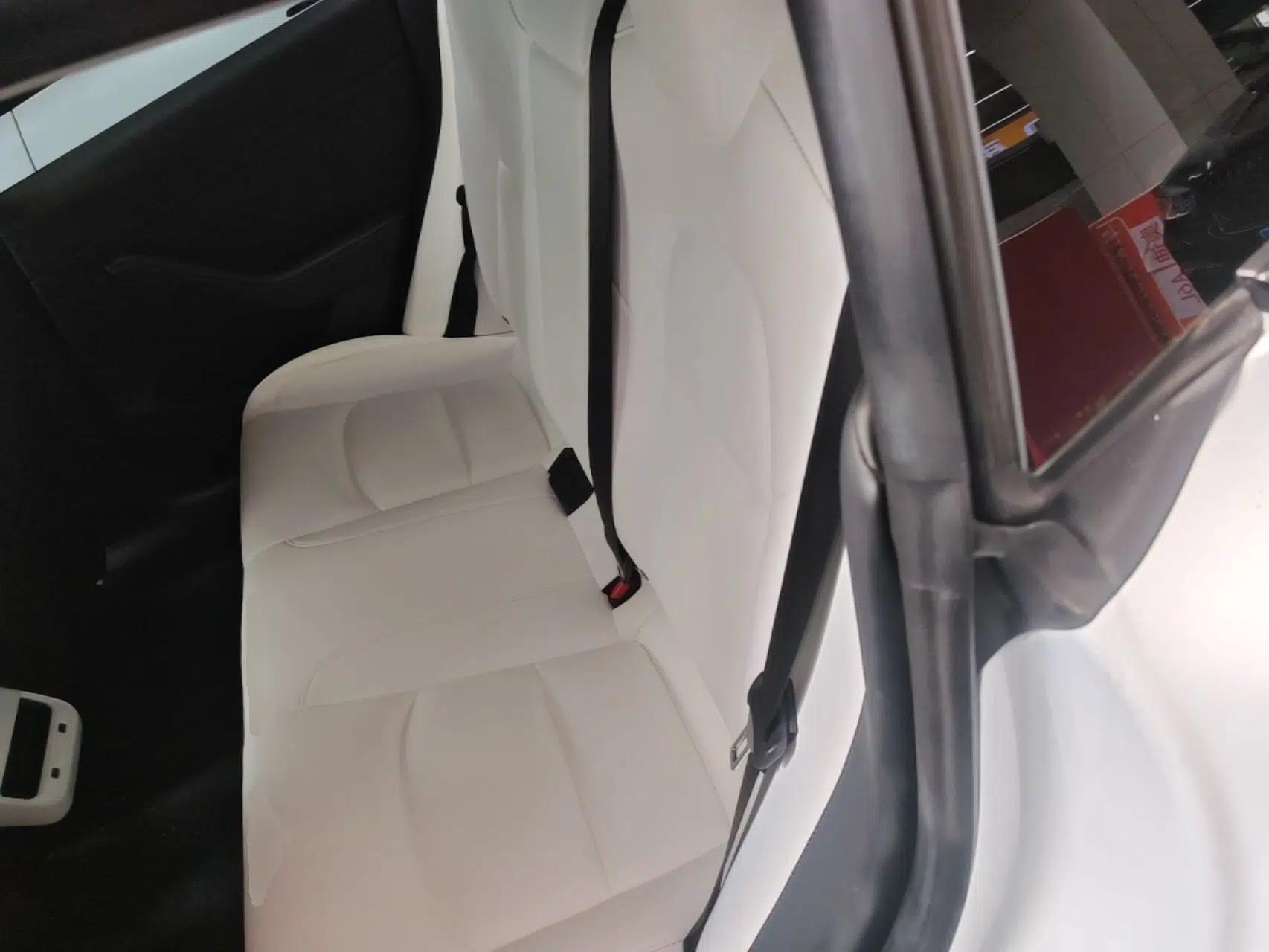 Tesla Model 3 2021 Revised Version Standard Range Rear-Wheel Drive Upgraded Edition 3D1 — миниатюра 25