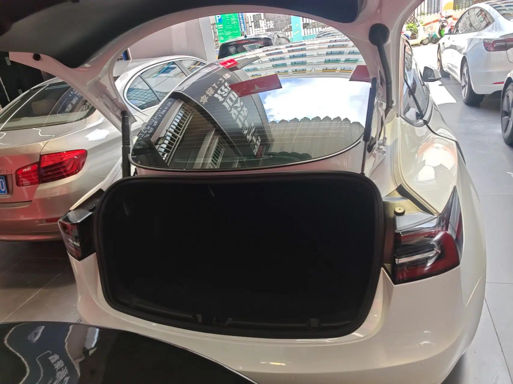 Tesla Model 3 2021 Revised Version Standard Range Rear-Wheel Drive Upgraded Edition 3D1 — миниатюра 27