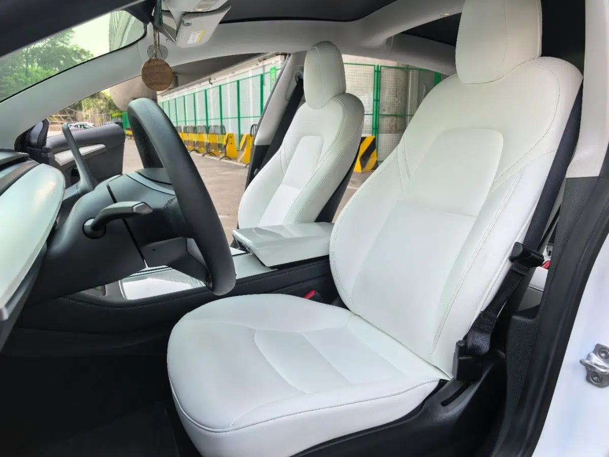 Tesla Model 3 2021 Revised Version Standard Range Rear-Wheel Drive Upgraded Edition 3D1 — миниатюра 28