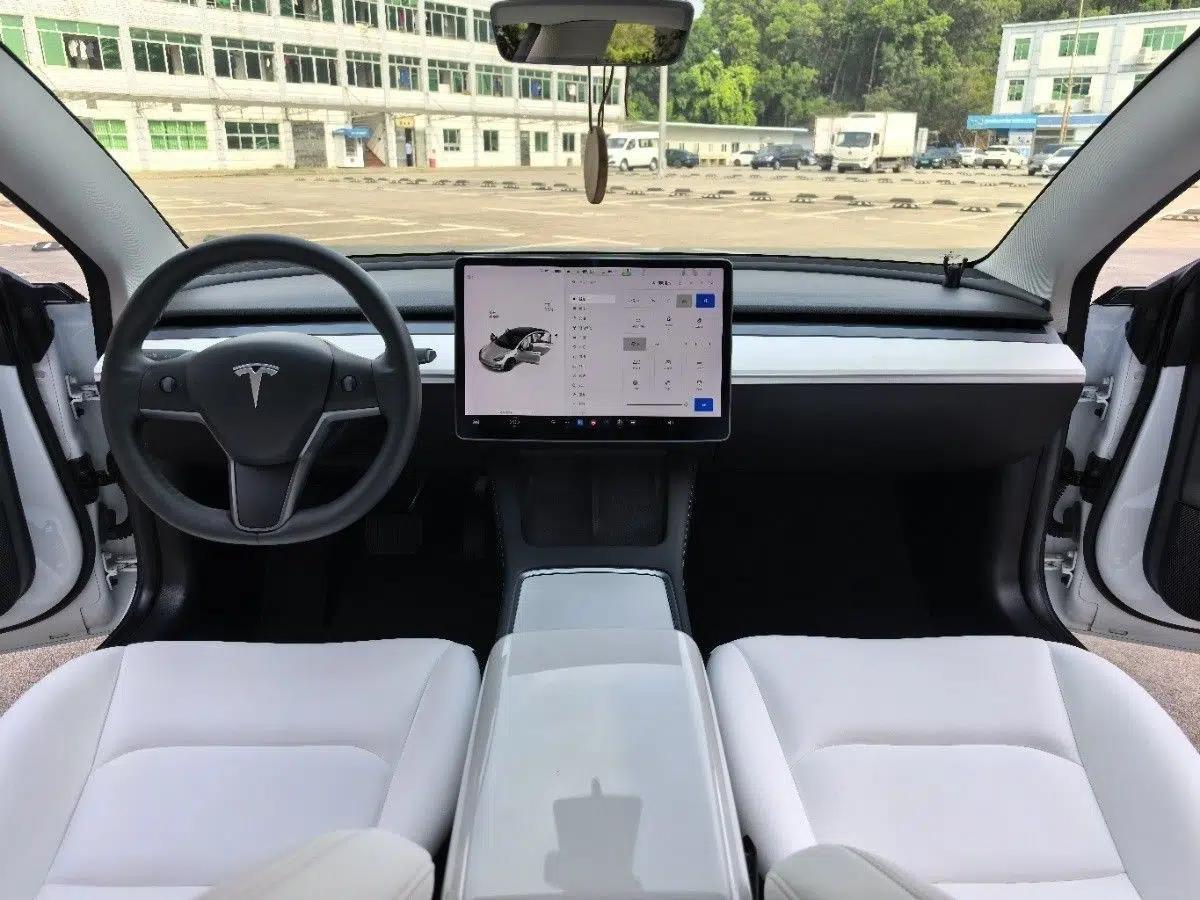 Tesla Model 3 2021 Revised Version Standard Range Rear-Wheel Drive Upgraded Edition 3D1 — миниатюра 29