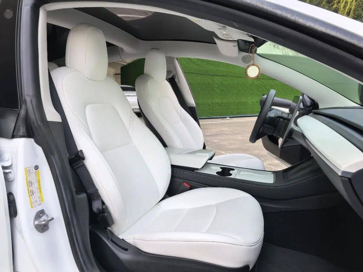 Tesla Model 3 2021 Revised Version Standard Range Rear-Wheel Drive Upgraded Edition 3D1 — миниатюра 30
