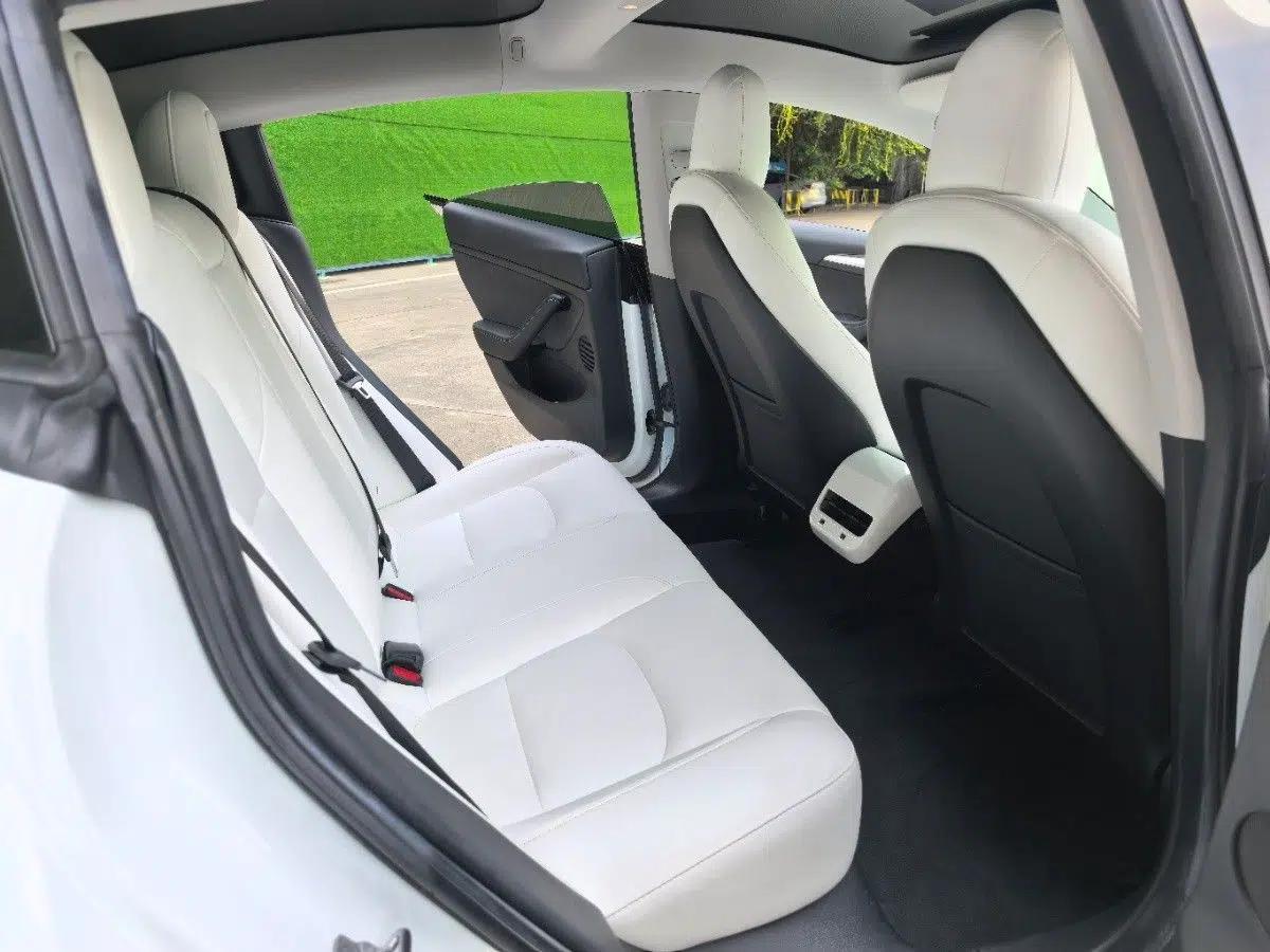 Tesla Model 3 2021 Revised Version Standard Range Rear-Wheel Drive Upgraded Edition 3D1 — миниатюра 32