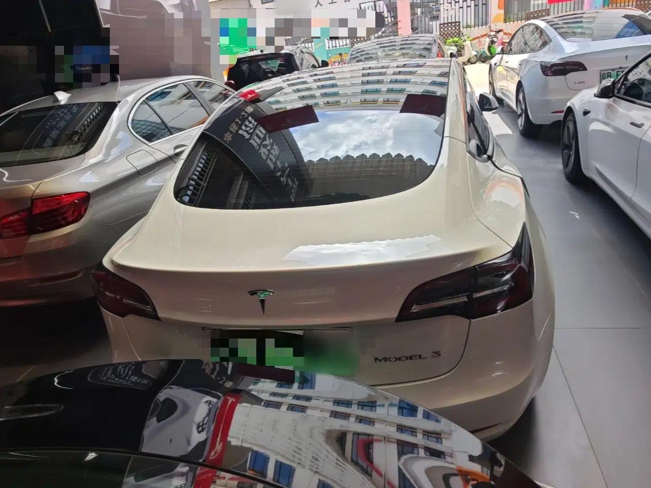 Tesla Model 3 2021 Revised Version Standard Range Rear-Wheel Drive Upgraded Edition 3D1 — миниатюра 5